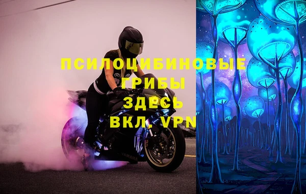 молекула духа Балабаново