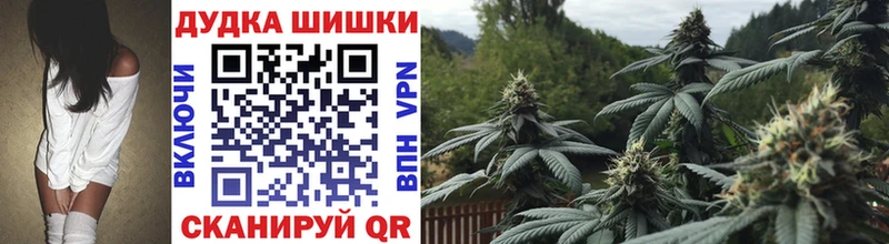 мориарти телеграм наркошоп Коряжма Бошки марихуана White Widow